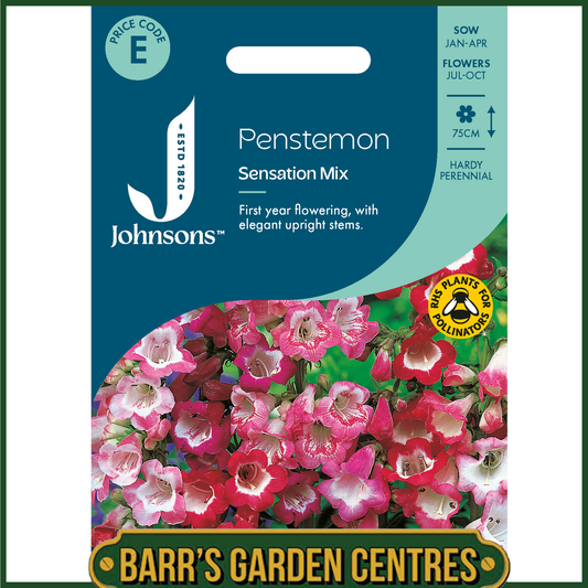 Johnsons - Penstemon Sensation Mix - 500 Seeds