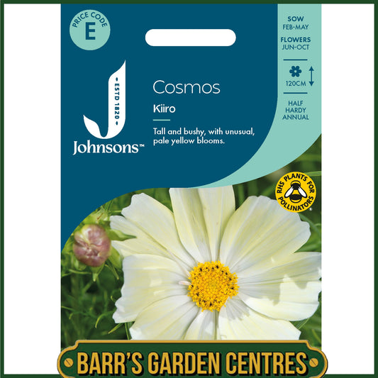 Johnsons - Cosmos Kiiro - 75 Seeds