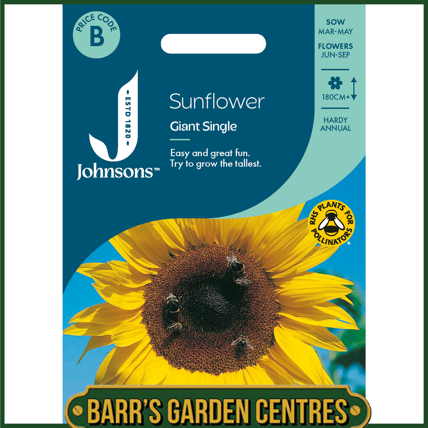 Johnsons - Sunflower Giant Single - 50 Seeds