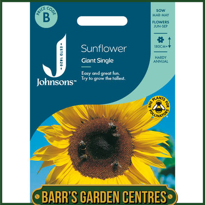 Johnsons - Sunflower Giant Single - 50 Seeds