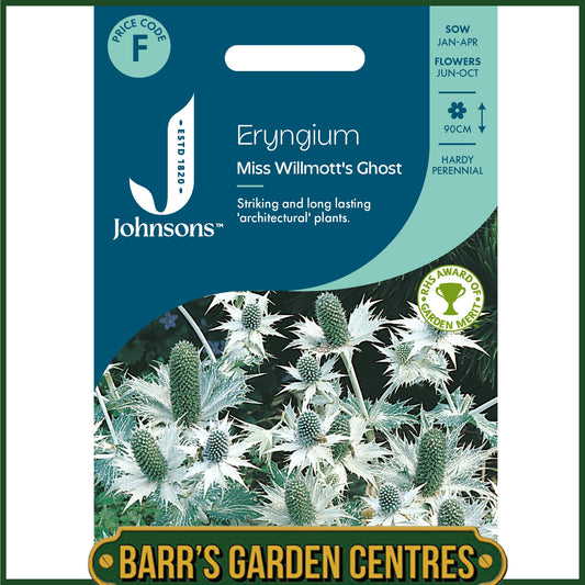 Johnsons - Eryngium Miss Willmotts Ghost - 30 Seeds