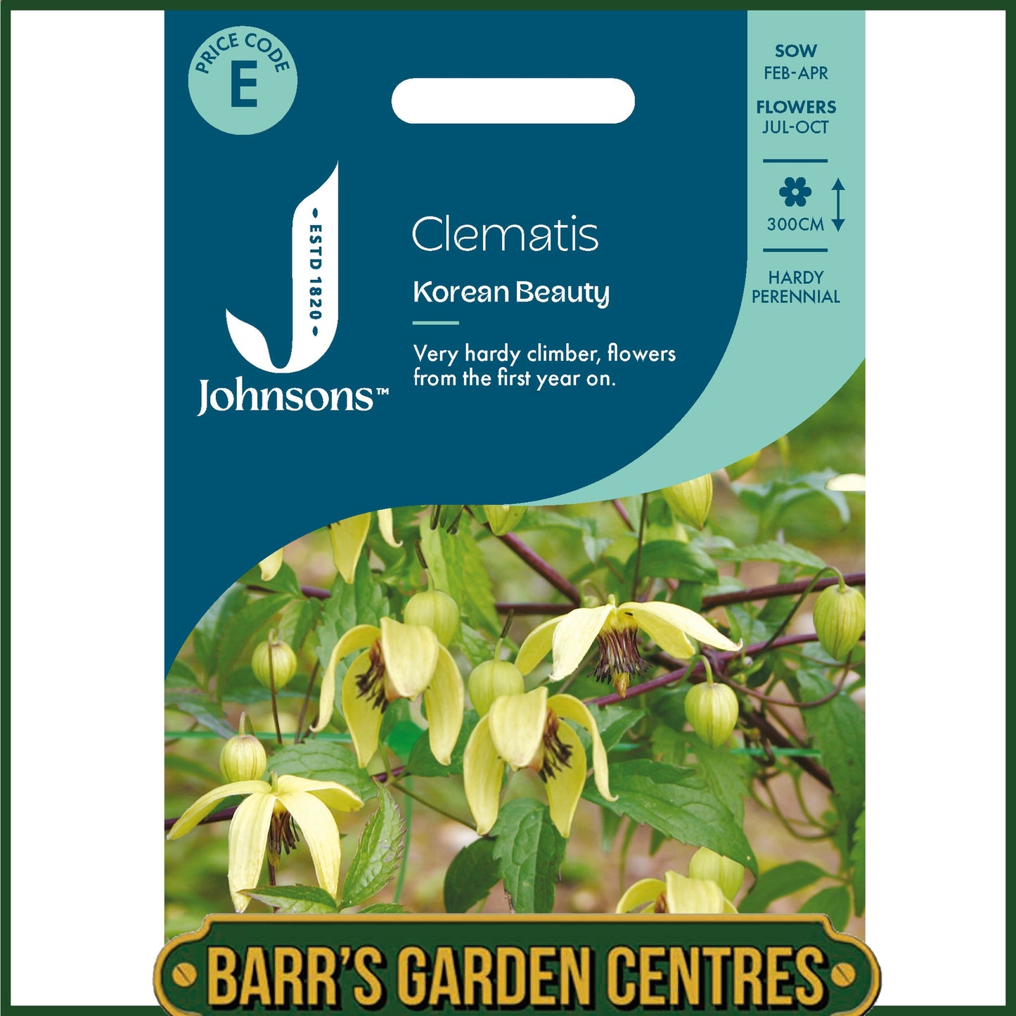 Johnsons - Clematis Chiisanensis Korean Beauty - 35 Seeds