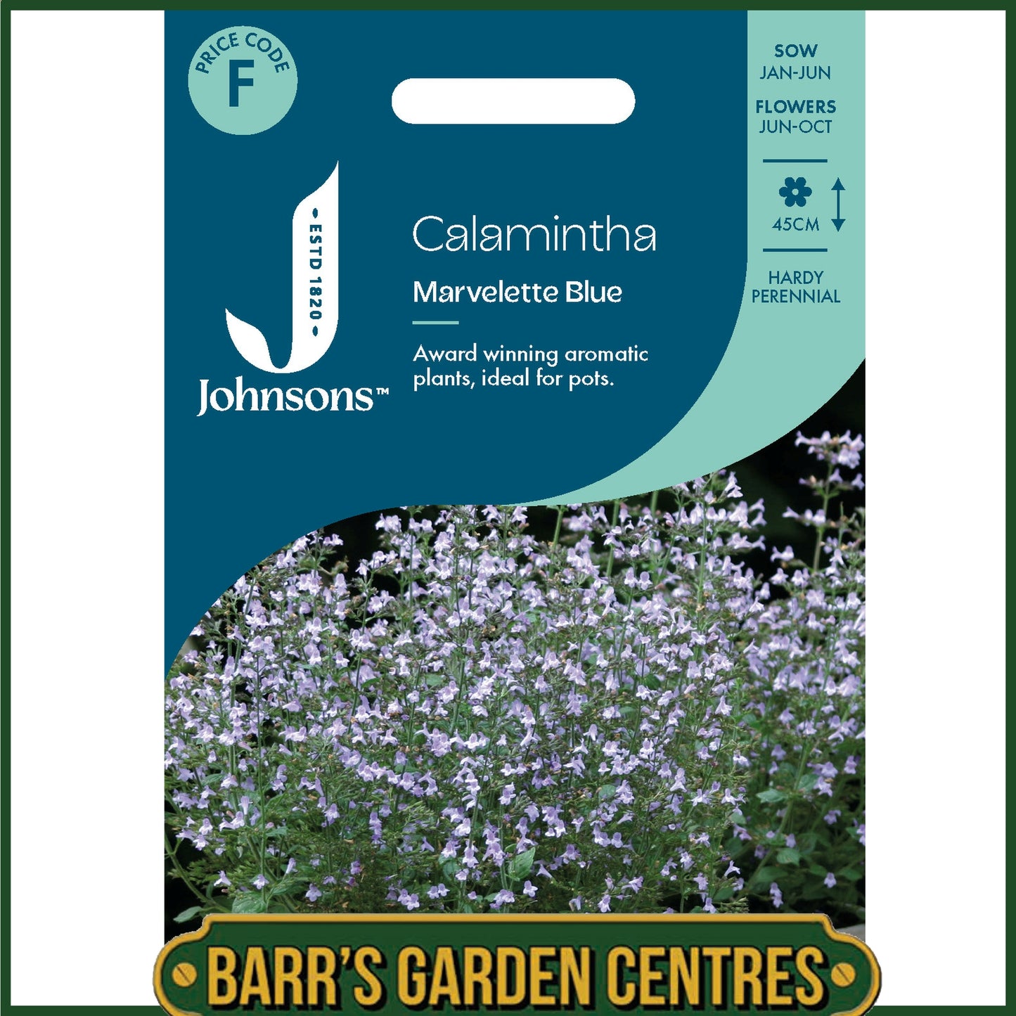 Johnsons - Calamintha Nepeta Marvelette Blue - 20 Seeds