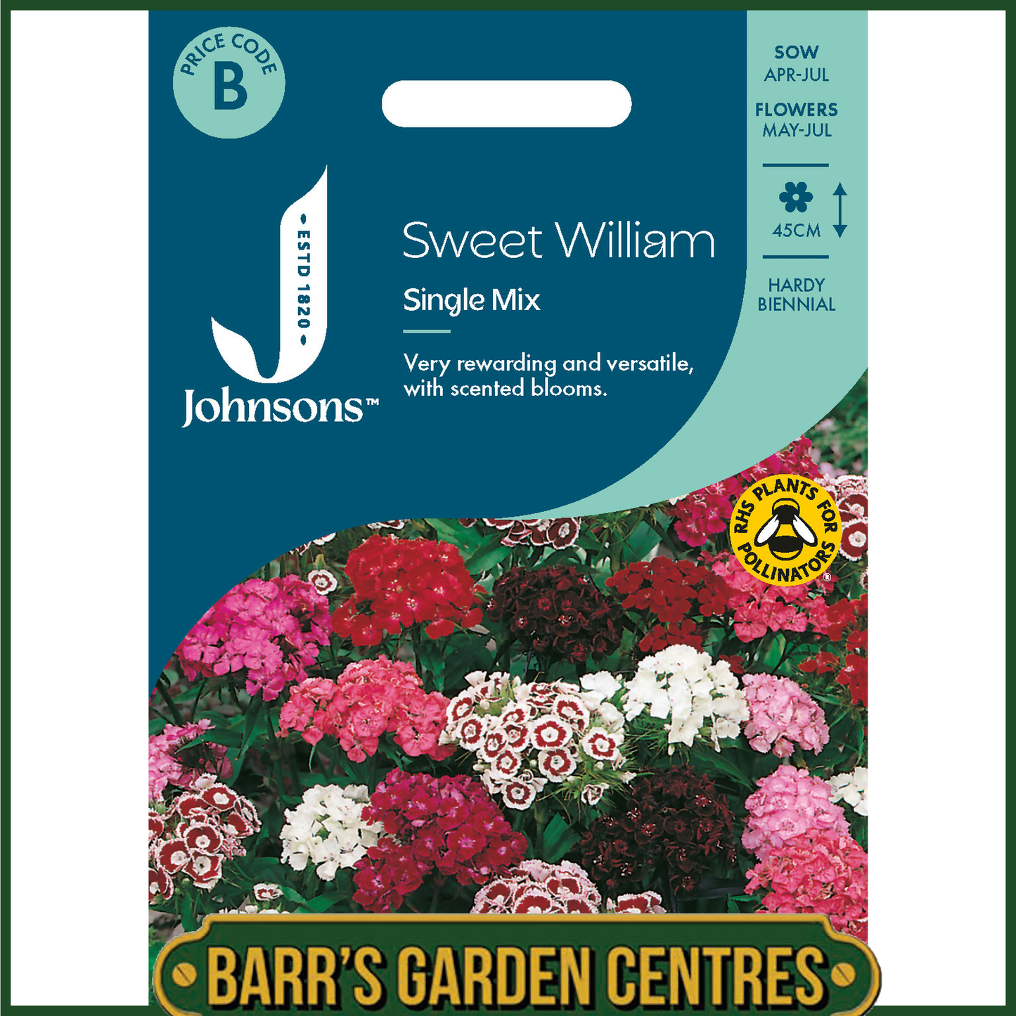 Johnsons - Sweet William Single Mix - 500 Seeds