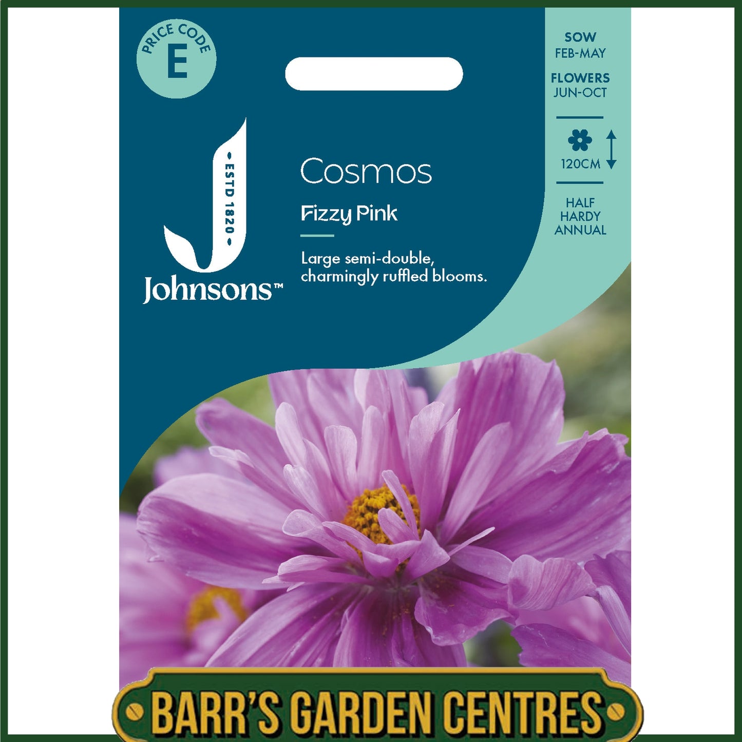 Johnsons - Cosmos Fizzy Pink - 50 Seeds