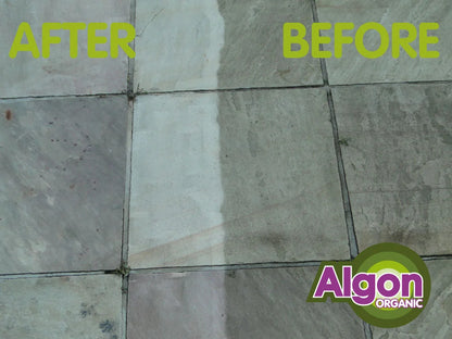 Algon 2.5 Litre Concentrate