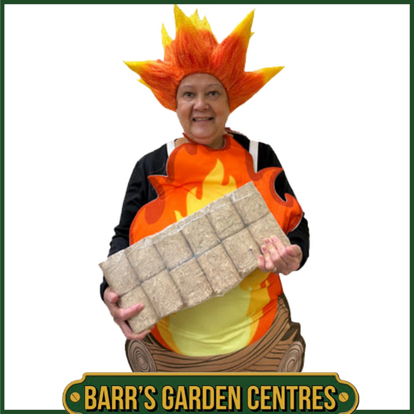 PAM BARR-QUETTES