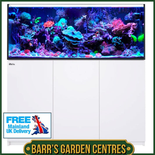 Red Sea Reefer 625 G3 Black or White