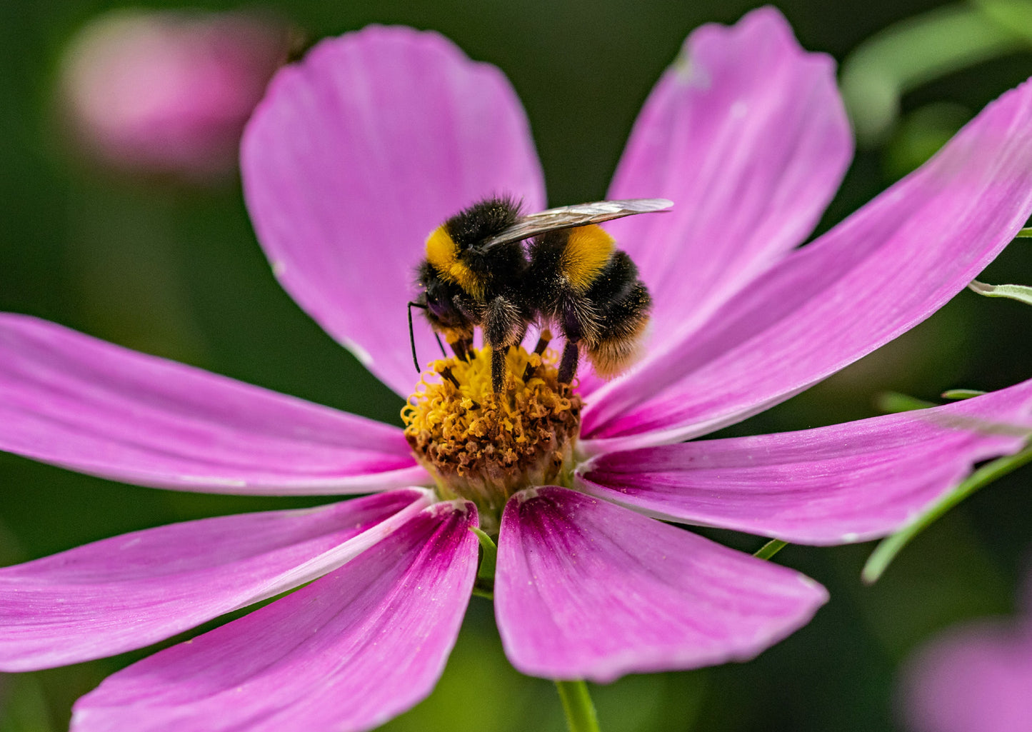 Barr's Garden Centres Gift Card