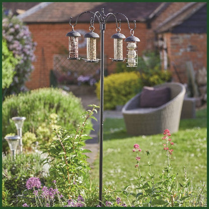 Complete Quartet Feeding Station