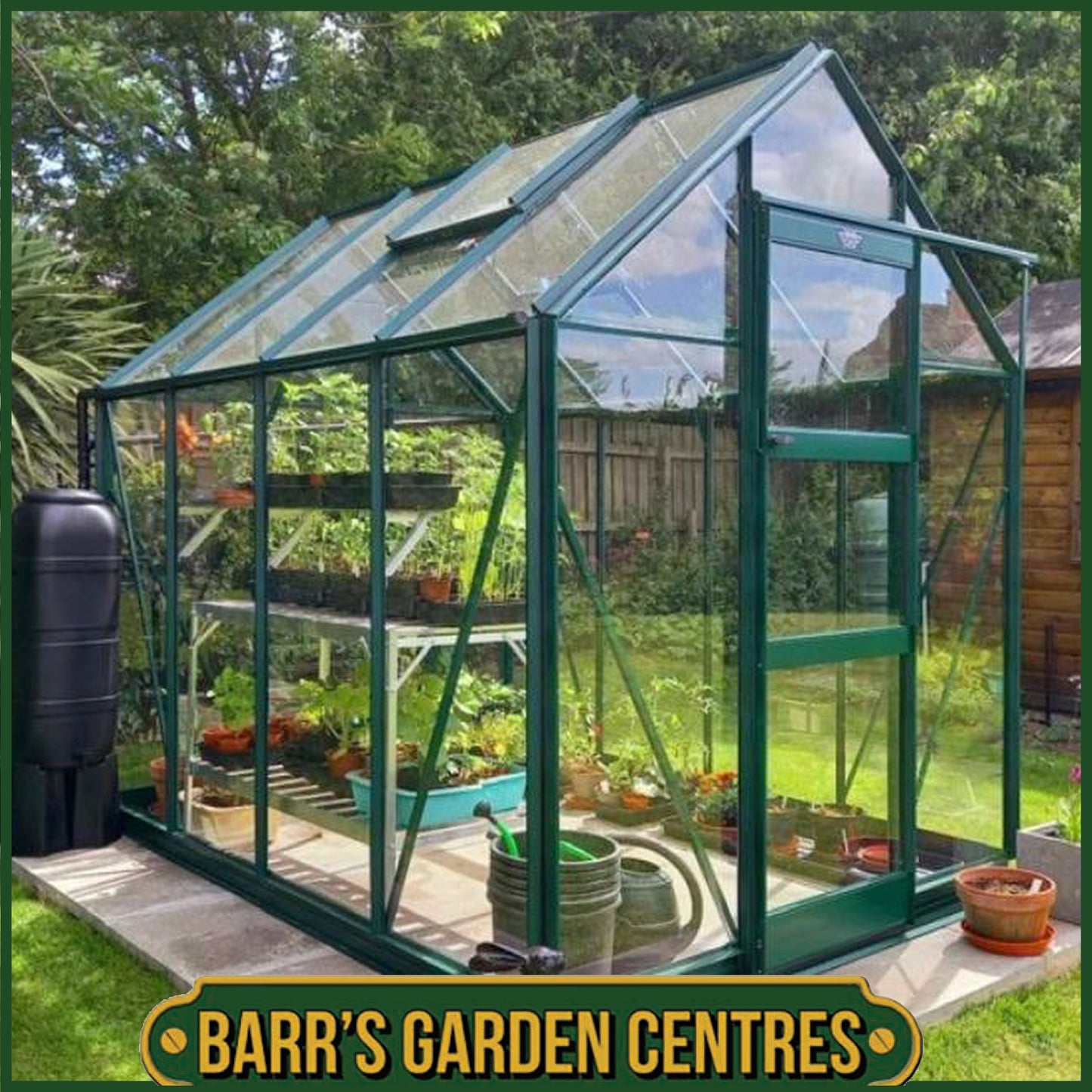 SPECIAL PACKAGE DEAL - WITH 3mm HORTICULTURAL GLASS - HIGH EAVE 6'3" WIDE ELITE GREENHOUSE