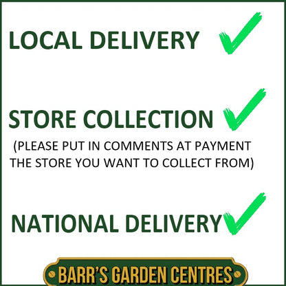 Johnsons Lawn Seed Quick Lawn with Accelerator