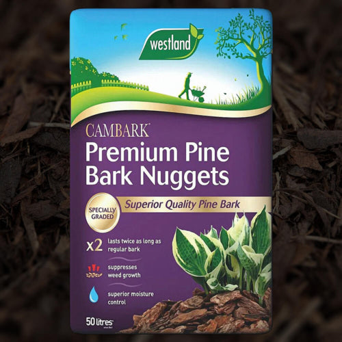 Westland Cambark Premium Pine Bark Nuggets 50 Litre