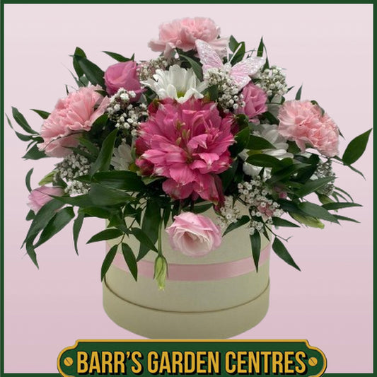 Hat Box Pink Theme