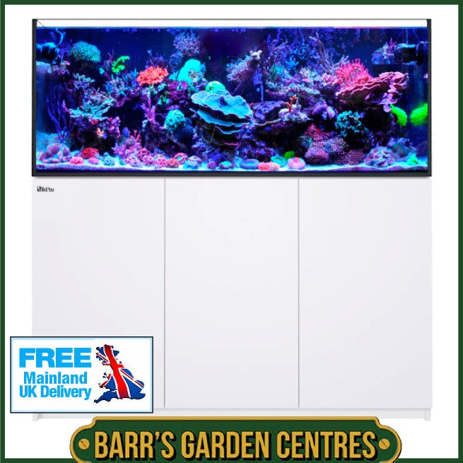 Red Sea Reefer 525 G3 Black or White