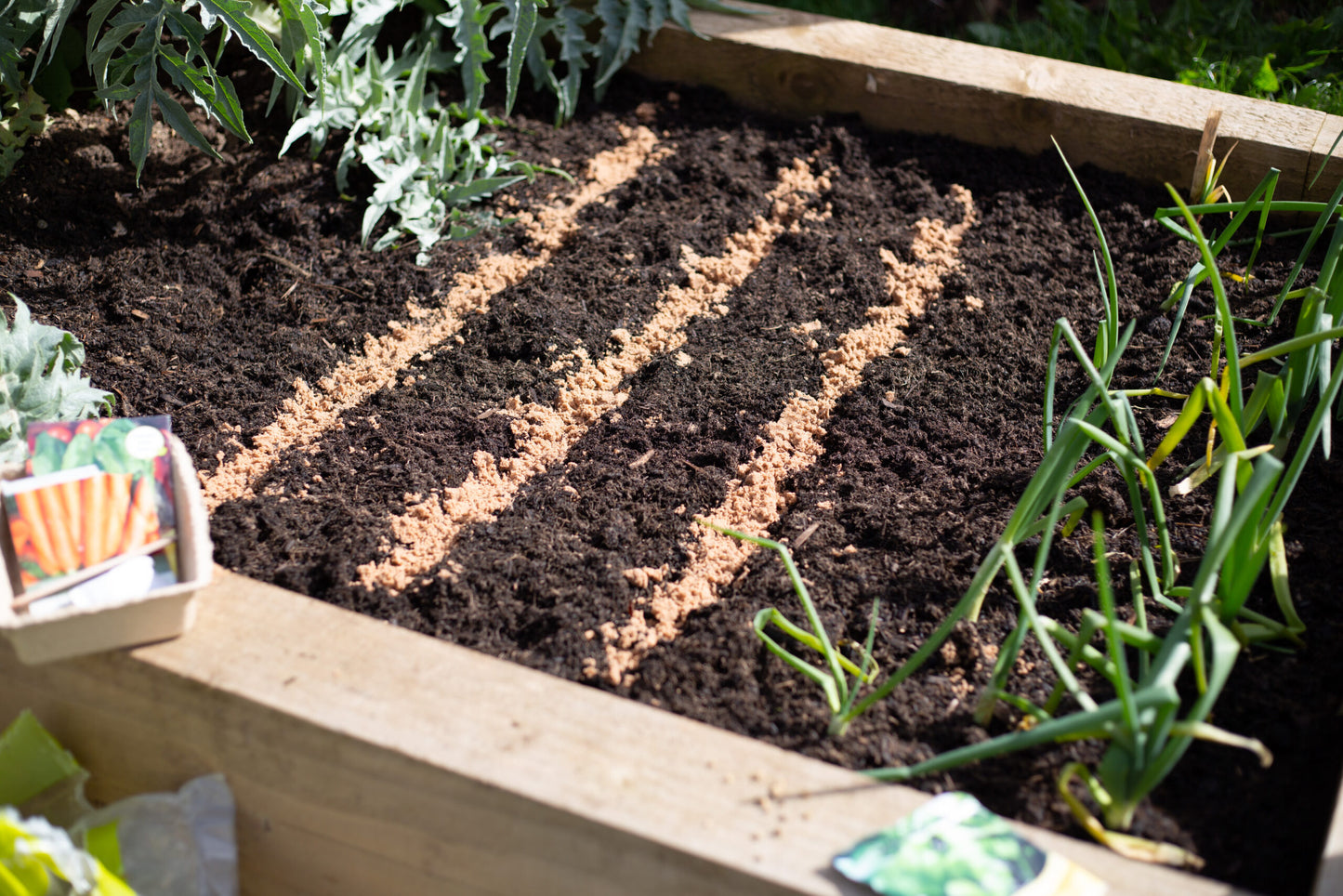 Horticultural Silver Sand