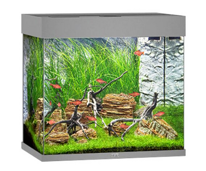 Lido 120 Aquarium