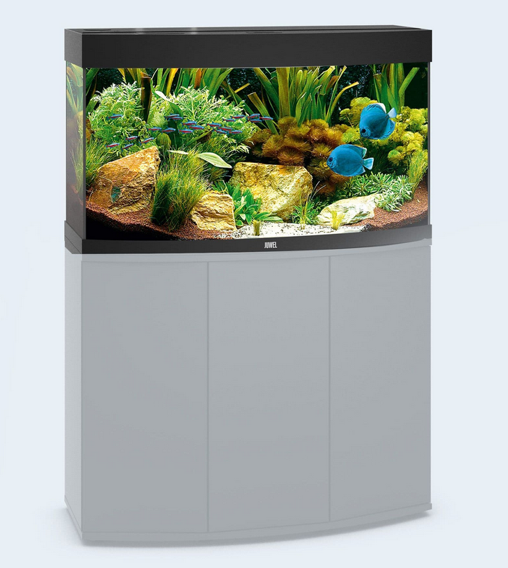 Vision 180 Aquarium