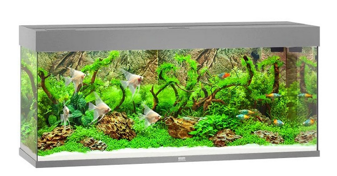 Juwel Rio 240 Aquarium