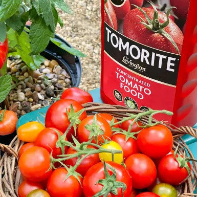 Levington® Tomorite® Concentrated Tomato Food 1.2L - 2.5L