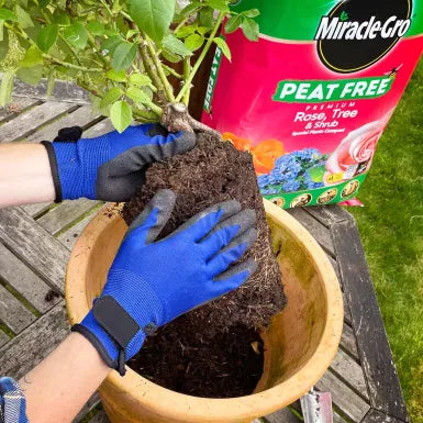 Miracle-Gro® Peat Free Premium Rose, Tree & Shrub 40 Litre Compost