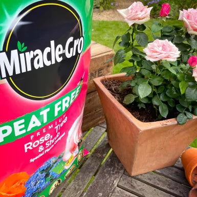 Miracle-Gro® Peat Free Premium Rose, Tree & Shrub 40 Litre Compost