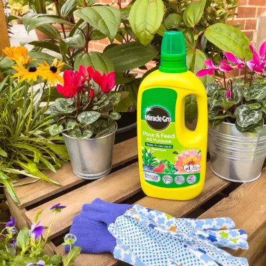 Miracle-Gro® Pour & Feed™ Ready to Use Plant Food 1L