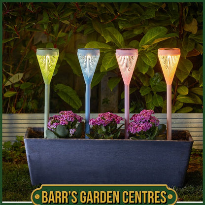 Viva! LED Solar Stake Light (4 Pack)