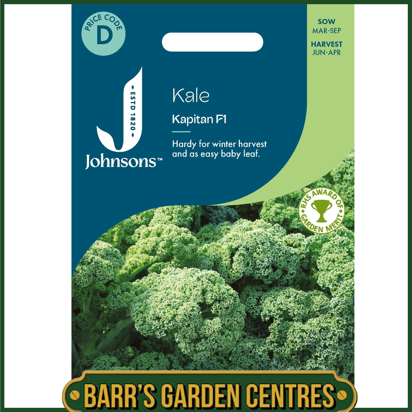 Johnsons - Kale Kapitan F1 - 50 Seeds