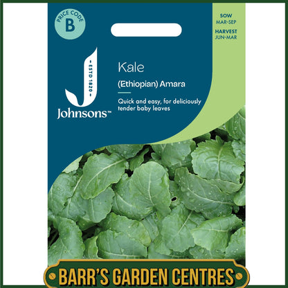 Johnsons - Kale Ethiopian Amara - 500 Seeds