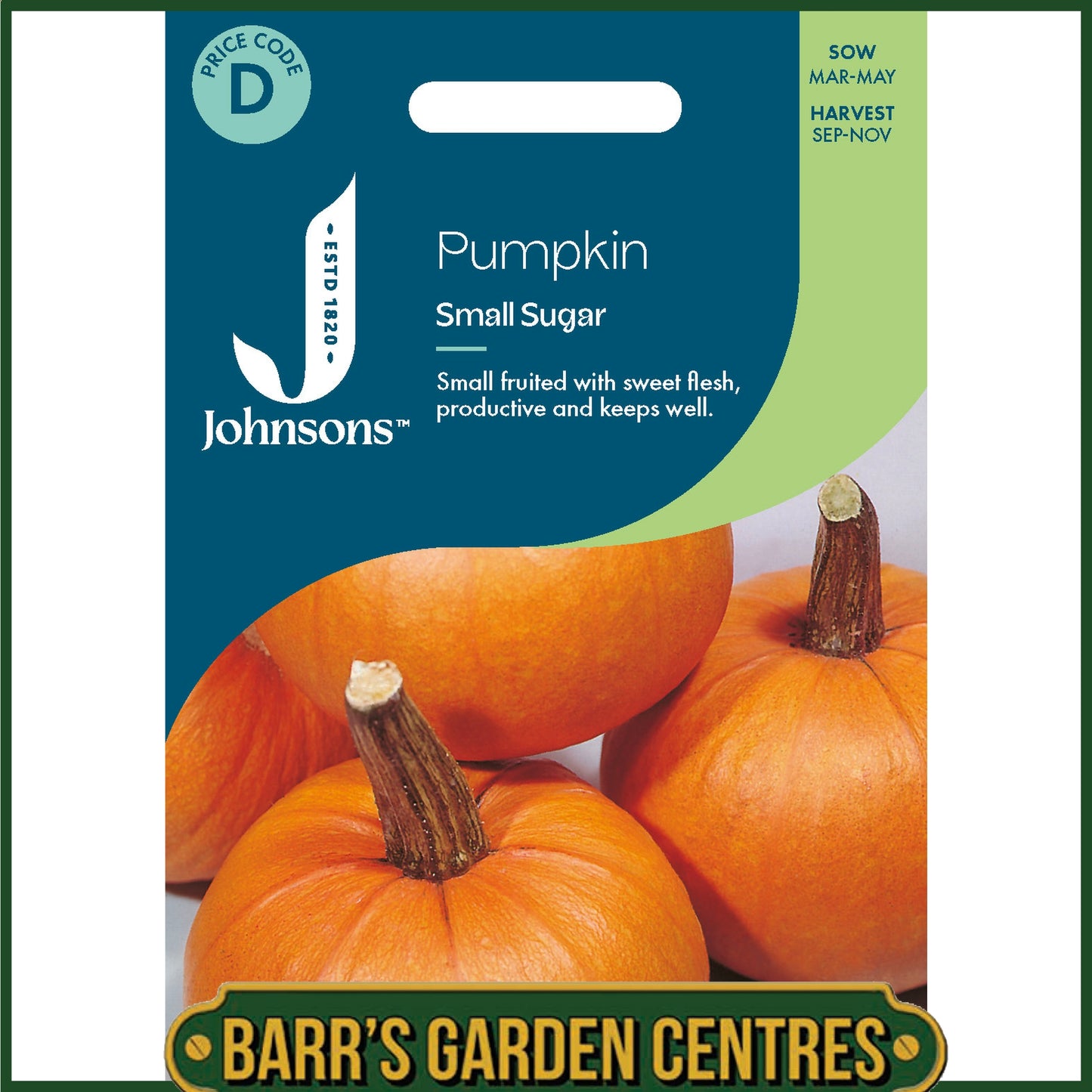 Johnsons - Pumpkin Small Sugar - 25 Seeds