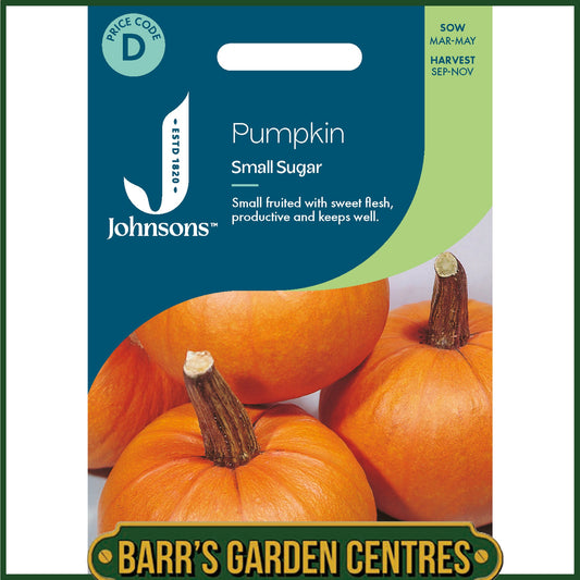 Johnsons - Pumpkin Small Sugar - 25 Seeds