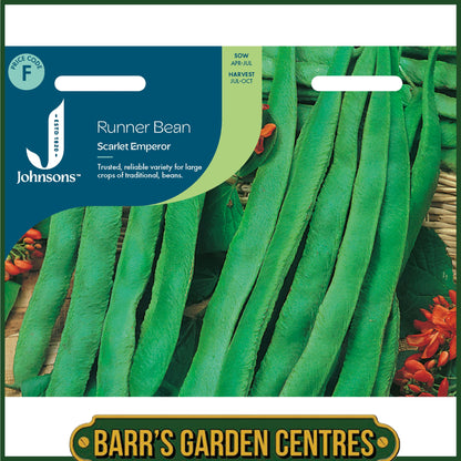 Johnsons - Runner Bean Scarlet Emperor - 40 Seeds