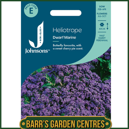 Johnsons - Heliotrope Dwarf Marine - 150 Seeds