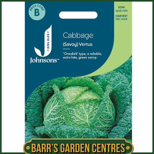 Johnsons - Cabbage (savoy) Vertus - 300 Seeds