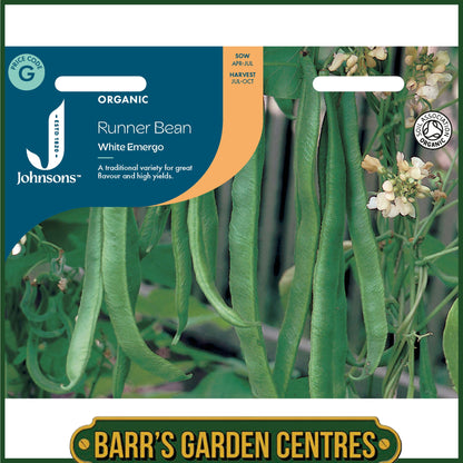 Johnsons - Organic Vegetable - Runner Bean White Emergo - 40 Seeds