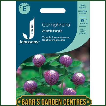Johnsons - Gomphrena Atomic Purple - 30 Seeds