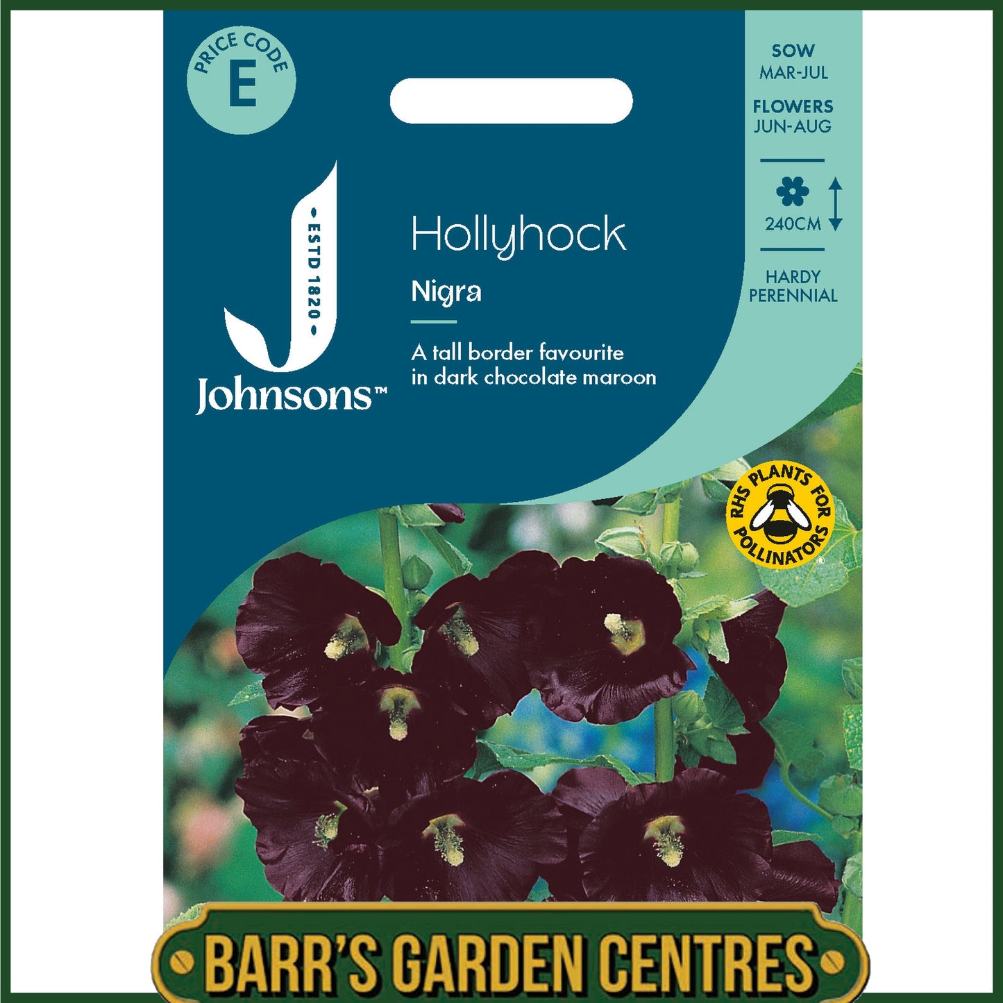 Johnsons - Hollyhock Nigra - 50 Seeds