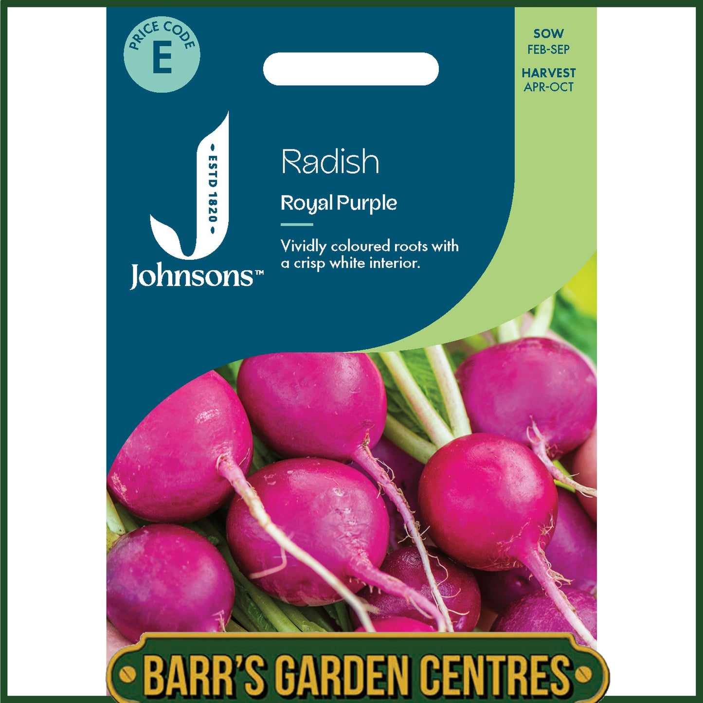 Johnsons - Radish Royal Purple - 300 Seeds