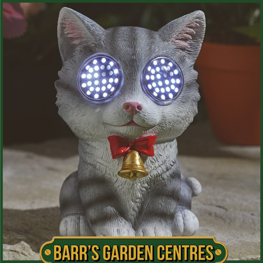 Smart Solar Blinkin' Cat