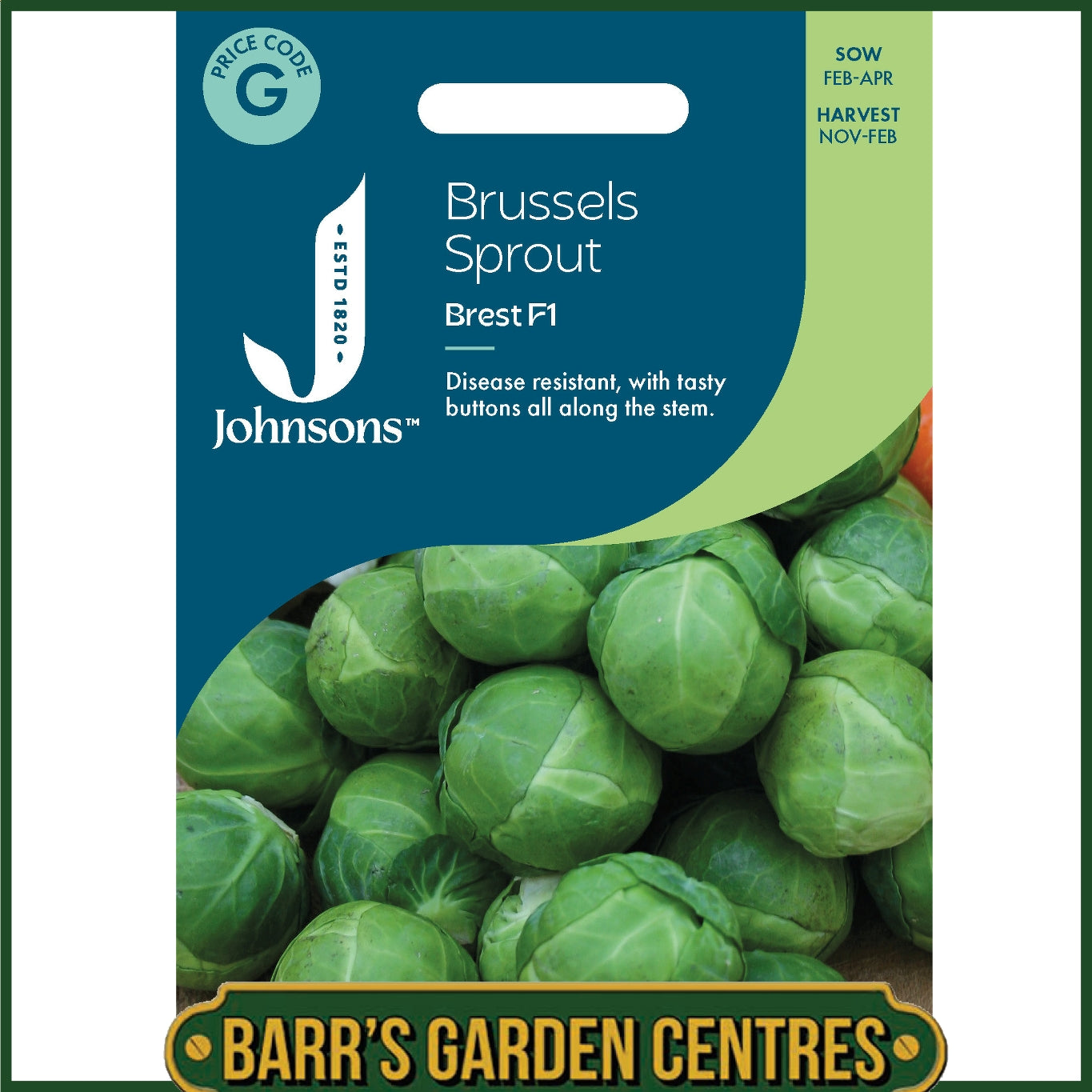 Johnsons - Brussels Sprout Brest F1 - 40 Seeds