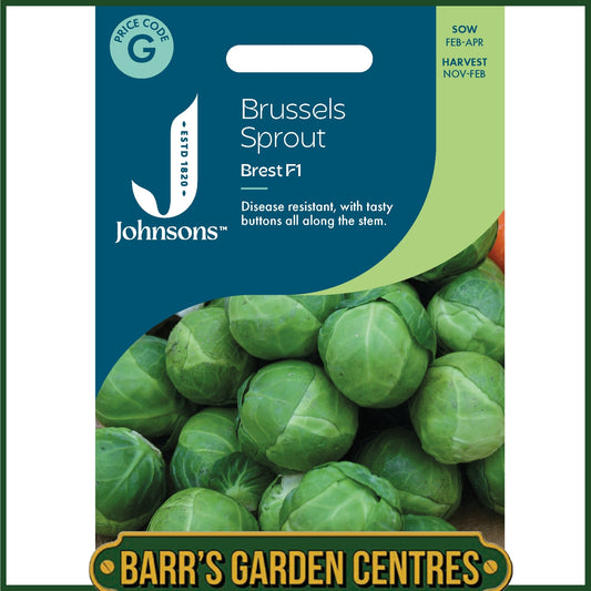 Johnsons - Brussels Sprout Brest F1 - 40 Seeds