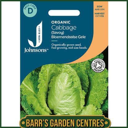 Johnsons - Organic Vegetable - Cabbage (savoy) Bloemendaalse Gele - 30 Seeds