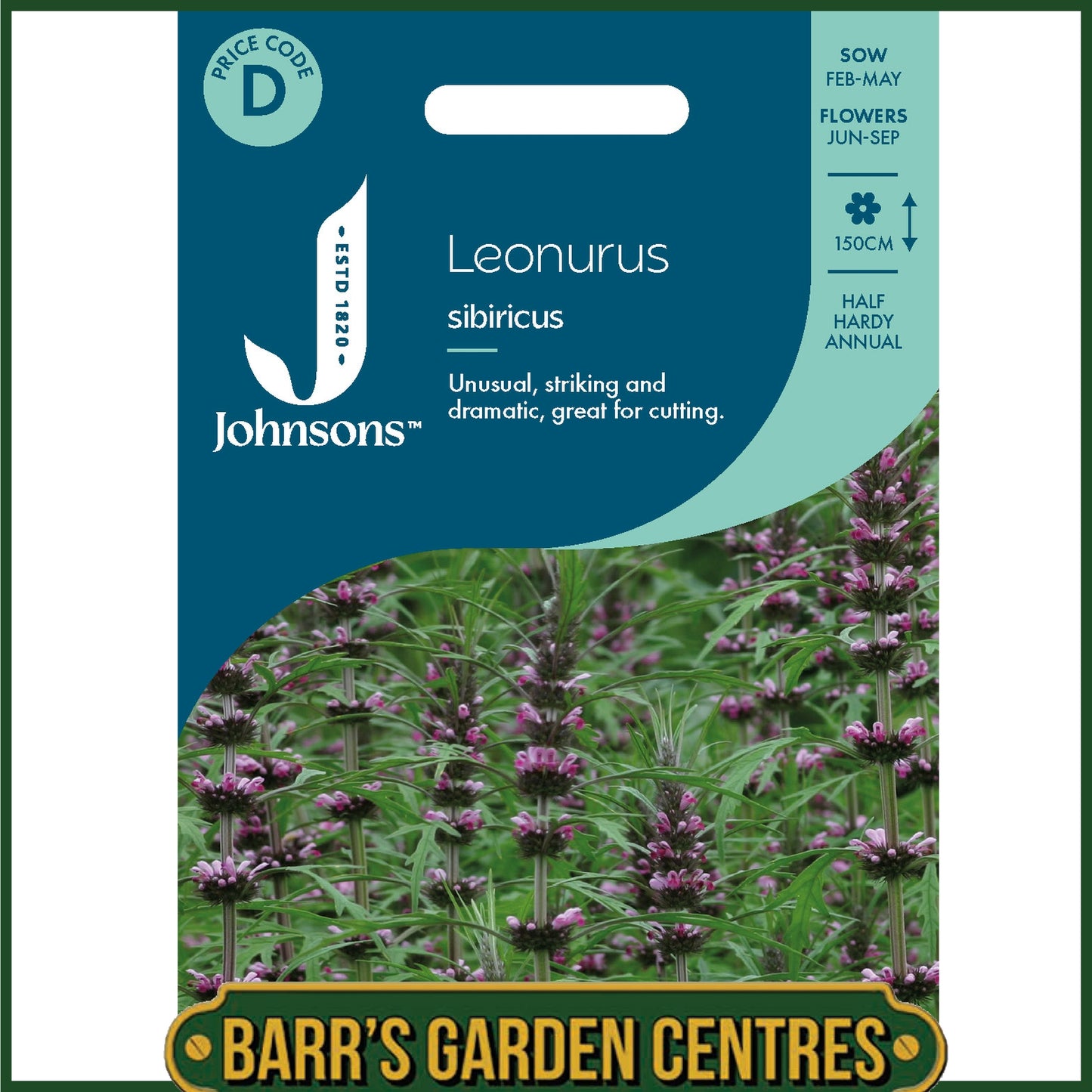 Johnsons - Leonurus Sibiricus - 150 Seeds