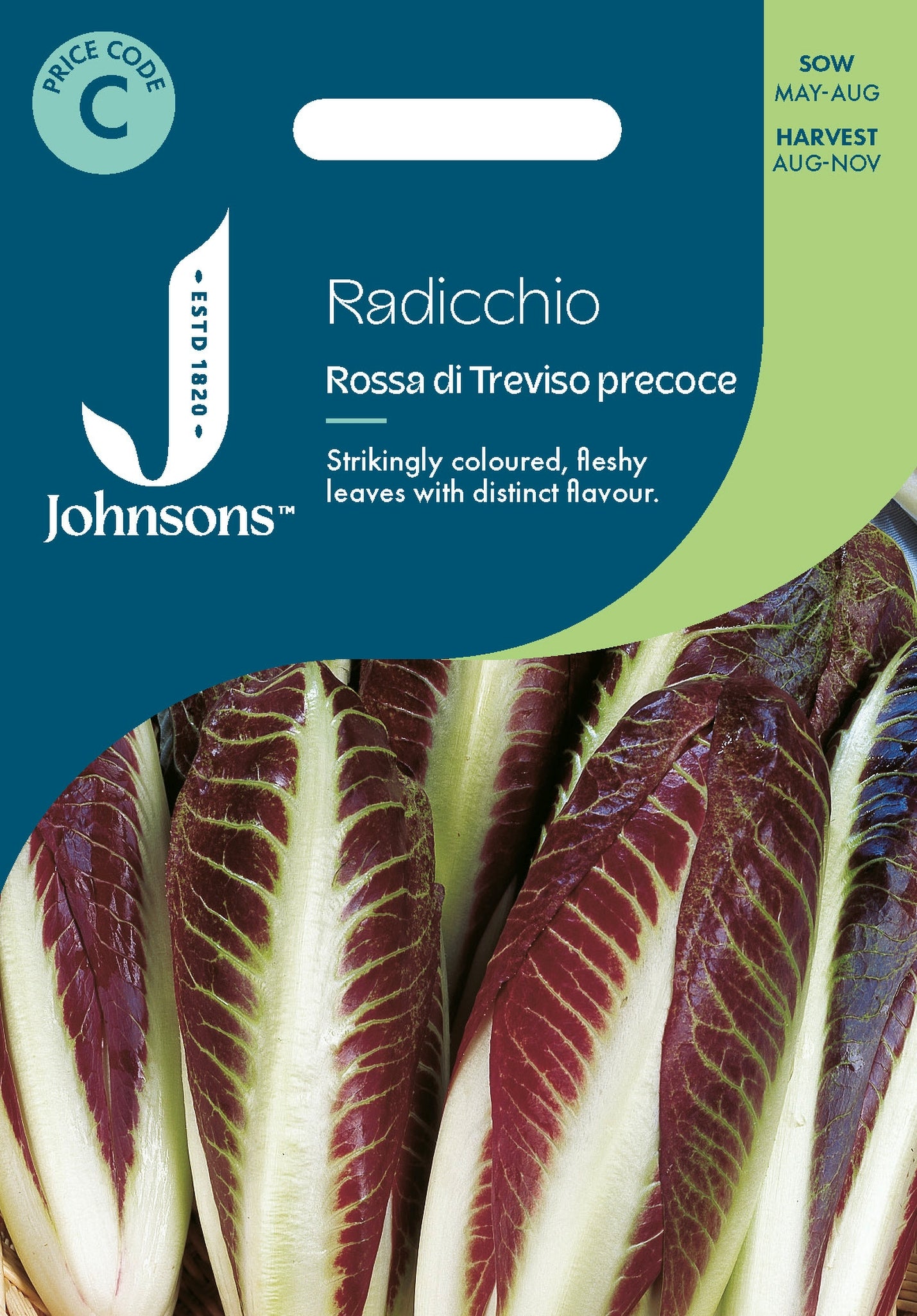 Johnsons - Radicchio Rossa Di Treviso Precoce - 1000 Seeds