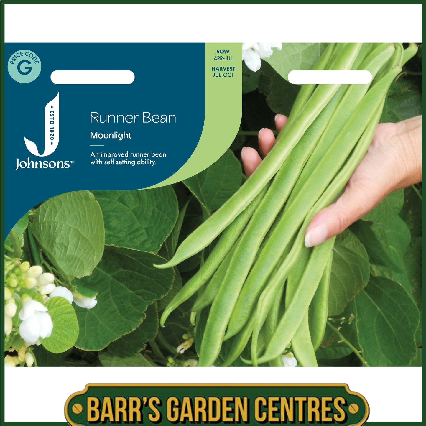 Johnsons - Runner Bean Moonlight - 40 Seeds