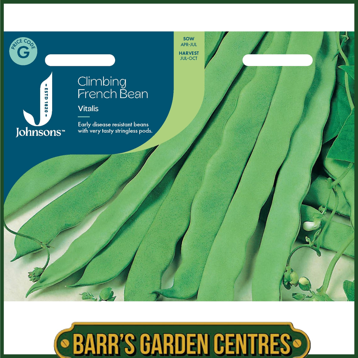 Johnsons - Climbing French Bean Vitalis - 50 Seeds