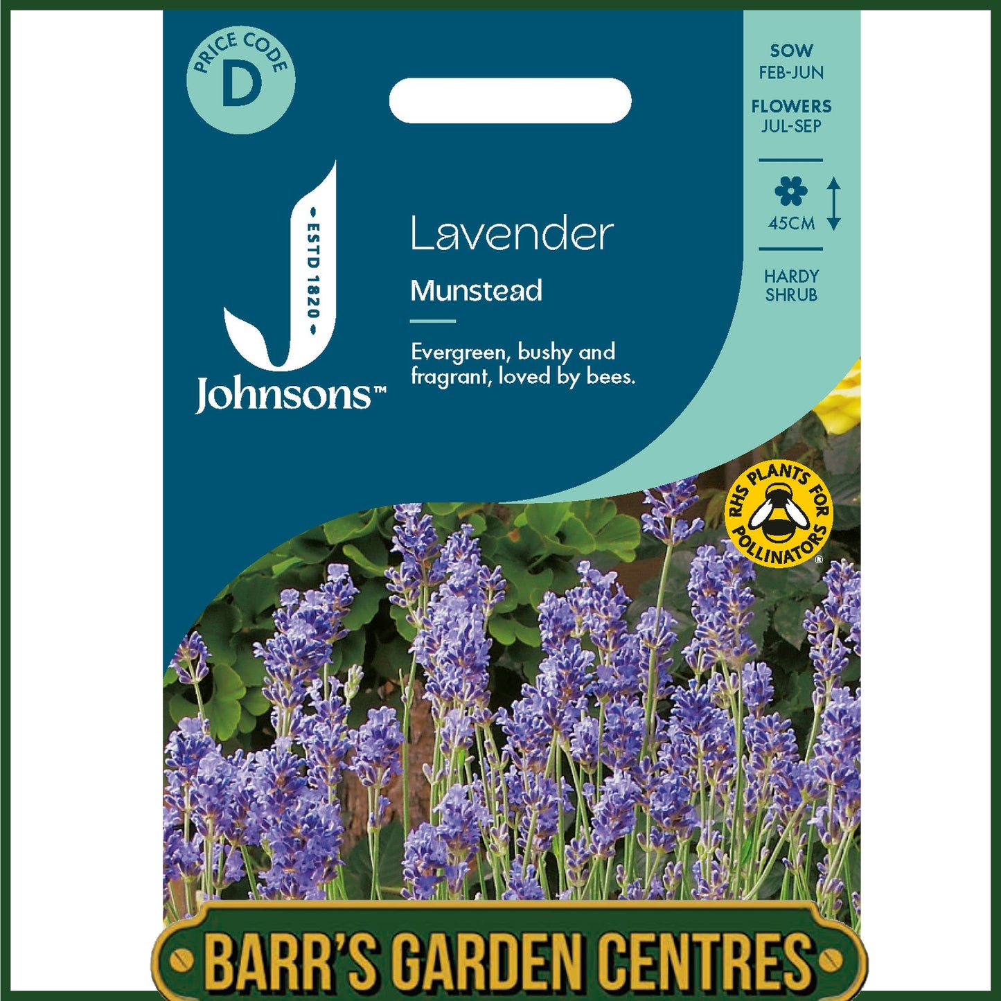 Johnsons - Lavender Munstead - 150 Seeds