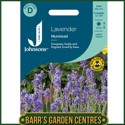 Johnsons - Lavender Munstead - 150 Seeds