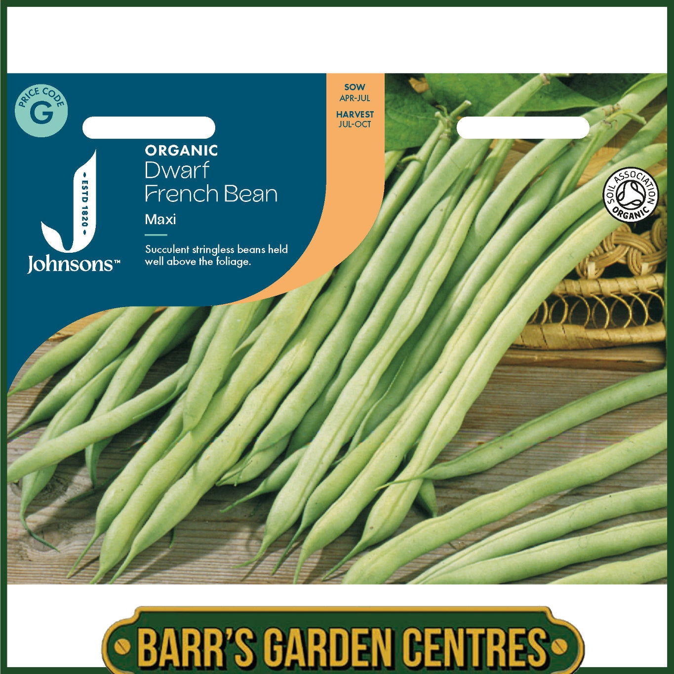 Johnsons - Organic Vegetable - Dwarf French Bean Maxi - 50 Seeds